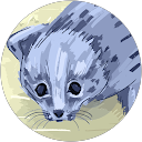 Abi P profile picture